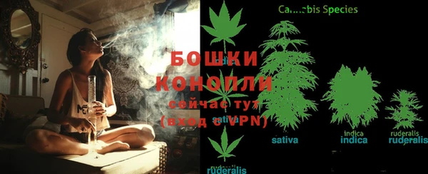 гашик Арсеньев