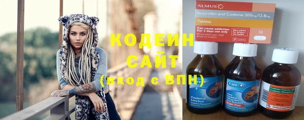 гашик Арсеньев