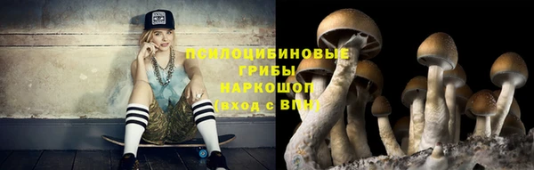 спиды Аркадак