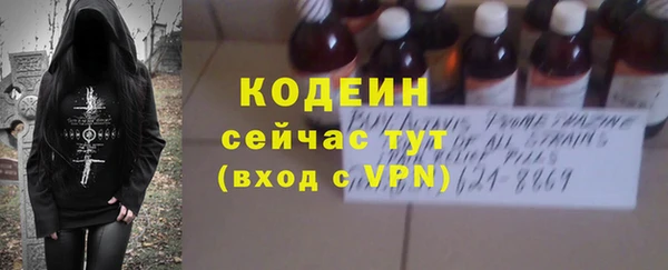 гашик Арсеньев