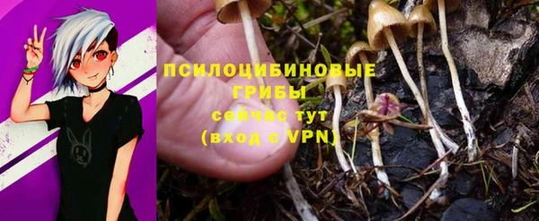 спиды Аркадак