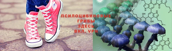 гашик Арсеньев