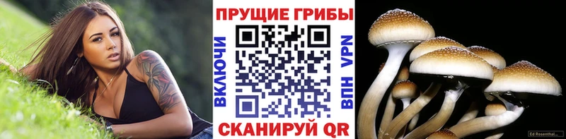 Галлюциногенные грибы прущие грибы где можно купить Артёмовск